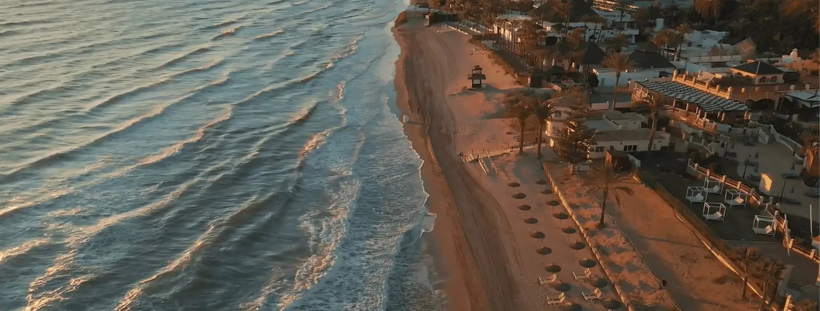 Aerial view of a Costa del Sol beach with palm trees and seafront villas at sunset